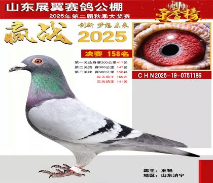 山东展翼决赛158名