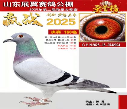 山东展翼决赛160名