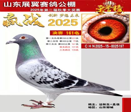 山东展翼决赛161名