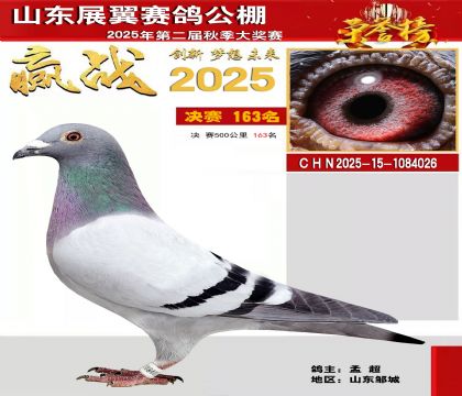 山东展翼决赛163名