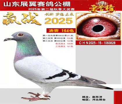 山东展翼决赛164名