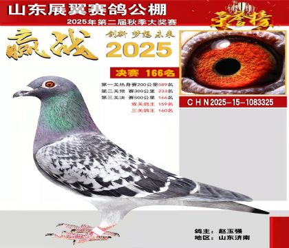 山东展翼决赛166名