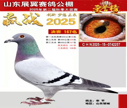 山东展翼决赛167名