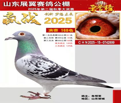 山东展翼决赛168名