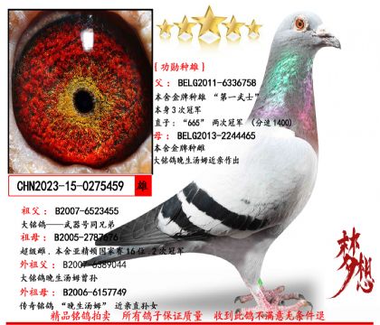 ɣ��ʿ��һ��ʿ����ѫ���ۡ�