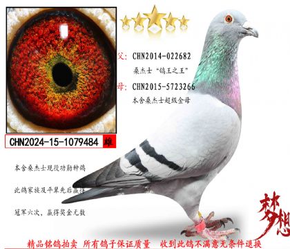 ɣ��ʿ����֮����������