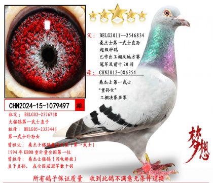 ���Ƽ���ɣ��ʿ��һ��ʿֱ��Xɣ��ʿ��һ��ʿ����Ů