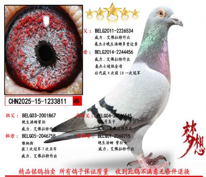 ɣ��ʿ������ķXɣ��ʿ������ĸ