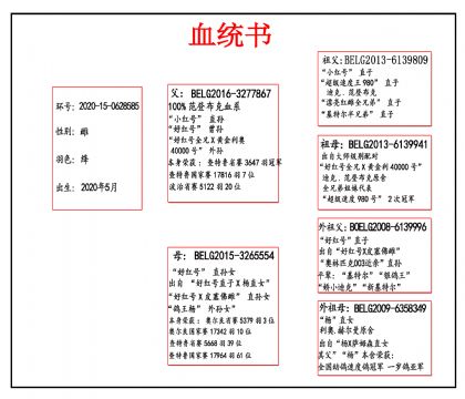 2020-15-0628585 Ѫ_����