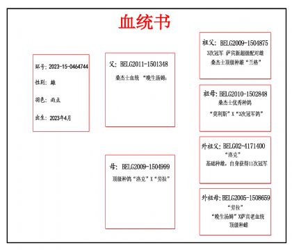 2023-15-0464744Ѫ_����