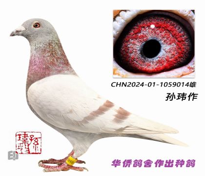 1��--ղɭ019��721�Ż�Ѫղɭ014-��