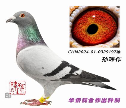 3��--������������ϵ���ϵͳ0329197-��