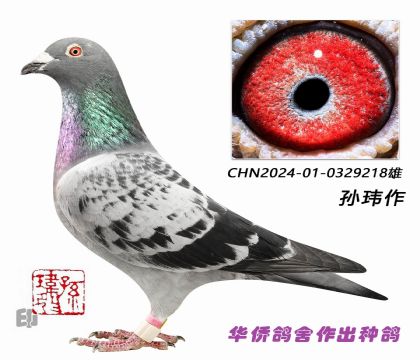 6��--����������ϵ��-0329218��