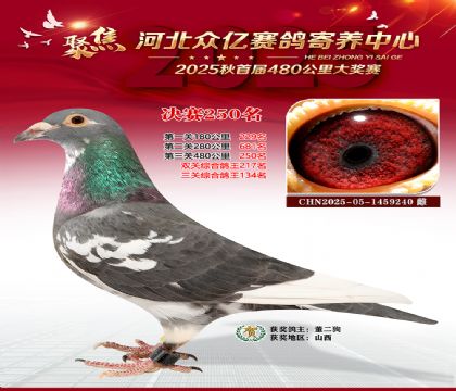 �ӱ����������������250��