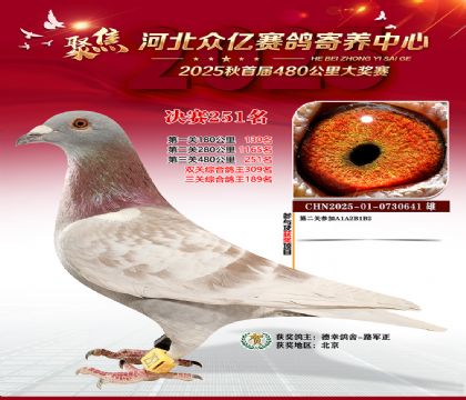 �ӱ����������������251��