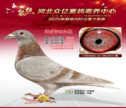 �ӱ����������������252��