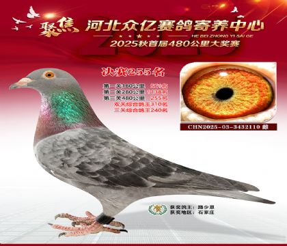 �ӱ����������������255��