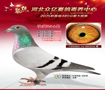 �ӱ����������������254��