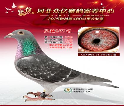 �ӱ����������������257��