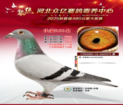 �ӱ����������������260��