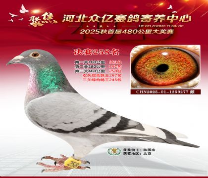 �ӱ����������������258��