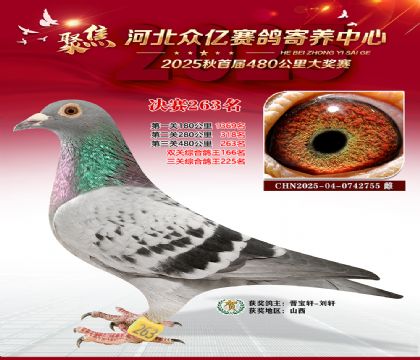 �ӱ����������������263��