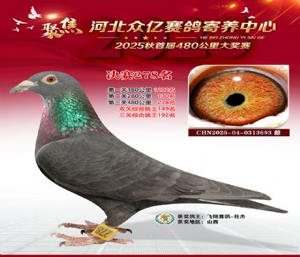 �ӱ����������������278��