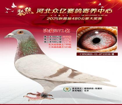 �ӱ����������������271��