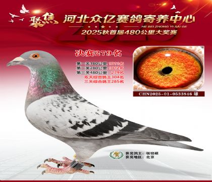 �ӱ����������������279��