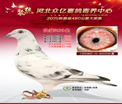 �ӱ����������������280��