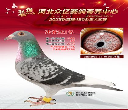 �ӱ����������������281��