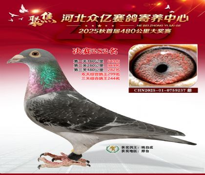 �ӱ����������������282��