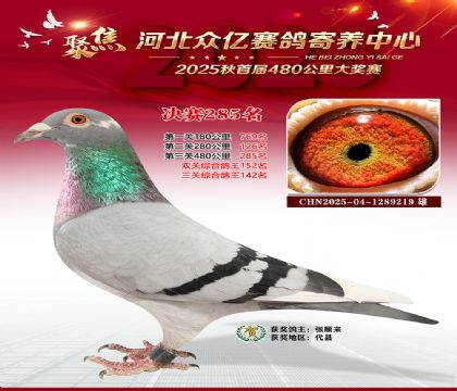 �ӱ����������������285��