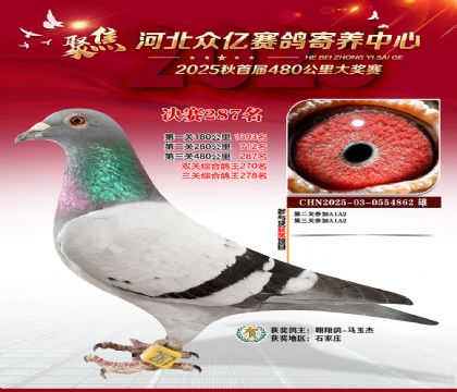 �ӱ����������������287��