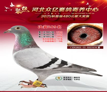 �ӱ����������������289��