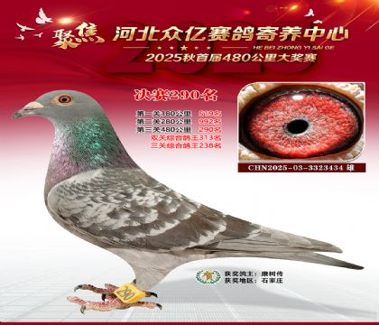 �ӱ����������������290��