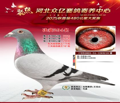 �ӱ����������������294��