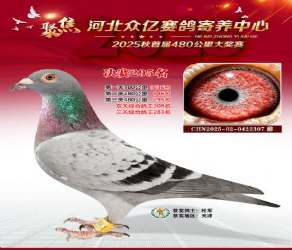 �ӱ����������������295��