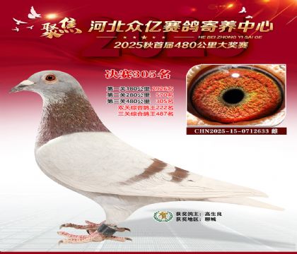 �ӱ����������������305��