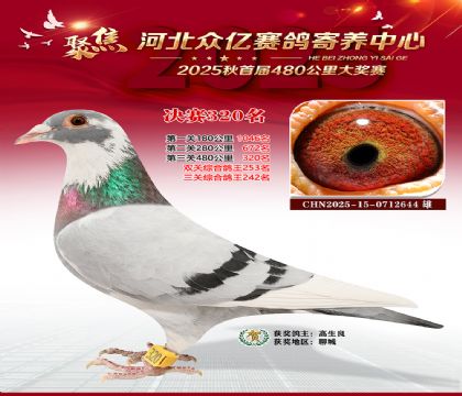 �ӱ����������������320��