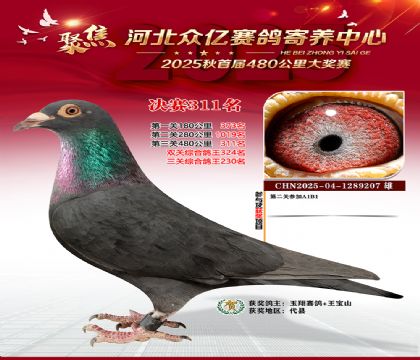 �ӱ����������������311��