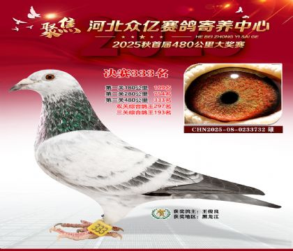 �ӱ����������������333��