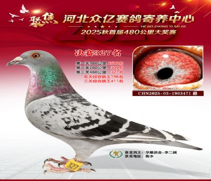 �ӱ����������������327��