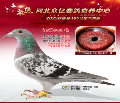 �ӱ����������������348��