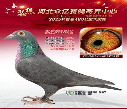 �ӱ����������������335��