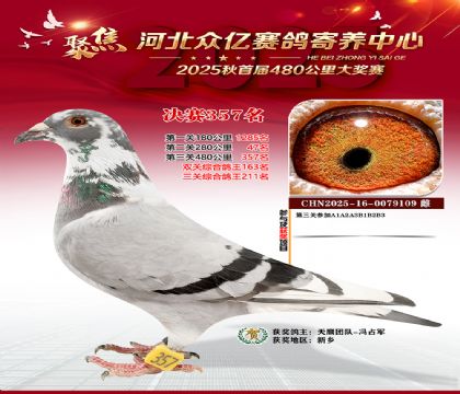 �ӱ����������������357��