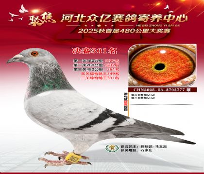 �ӱ����������������361��