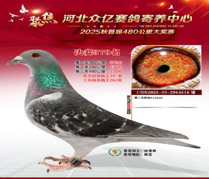 �ӱ����������������370��