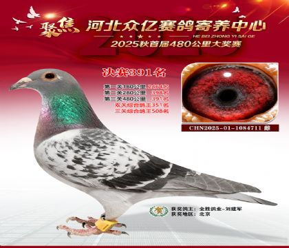 �ӱ����������������391��