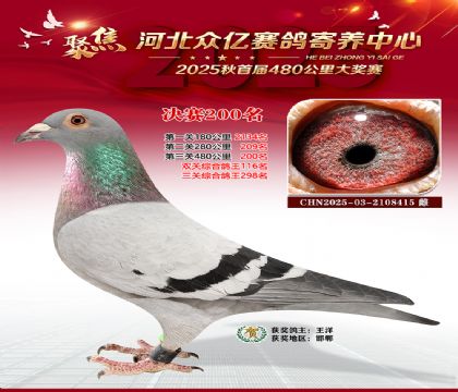 �ӱ����������������200��